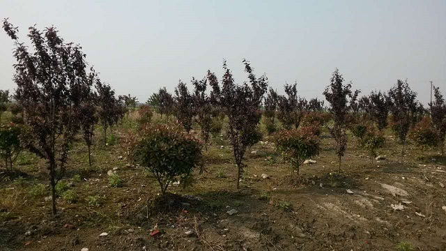 園區基地展示(5)